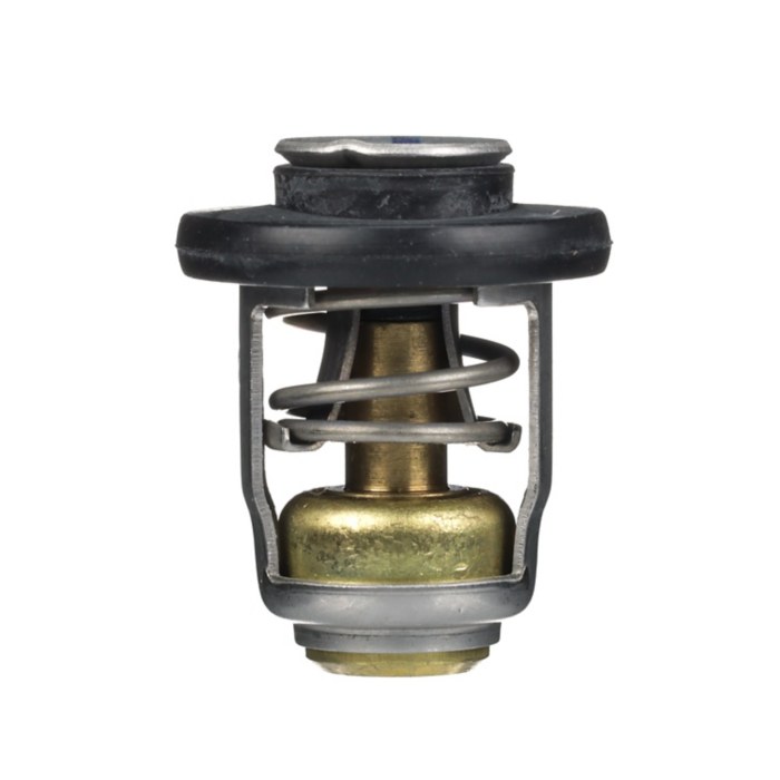 Thermostat — Mercury part 8M0119207