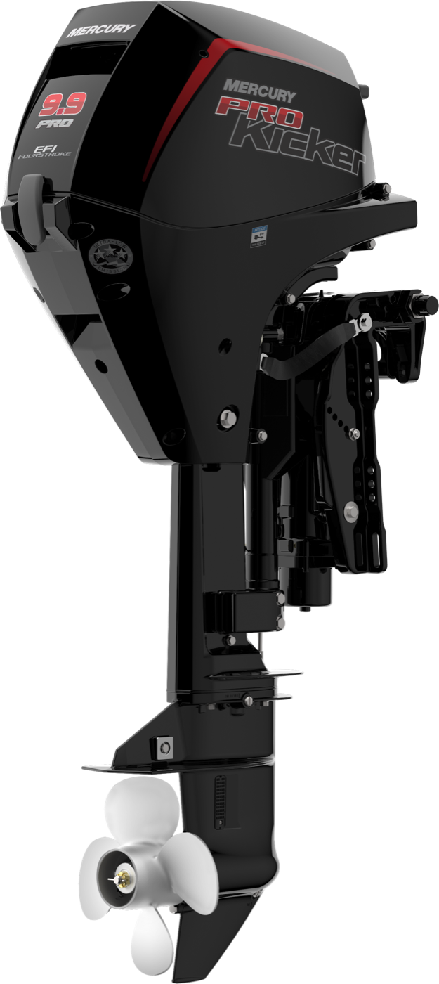 Mercury 15 HP ProKicker outboard